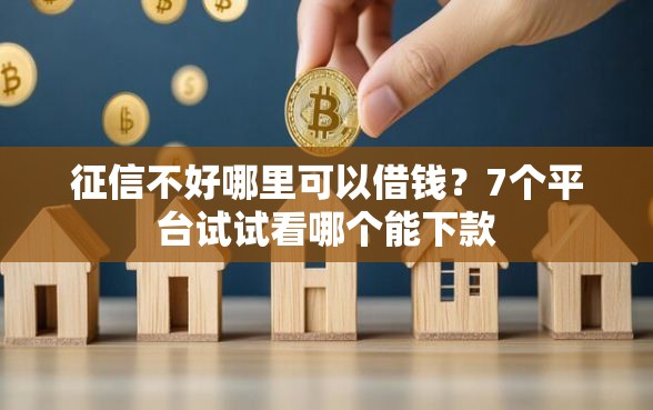 征信不好哪里可以借钱？7个平台试试看哪个能下款