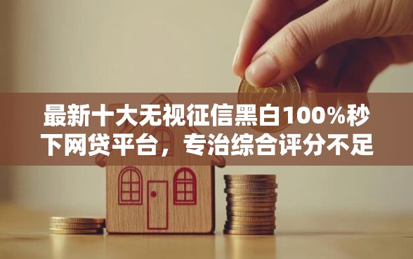 最新十大无视征信黑白100%秒下网贷平台，专治综合评分不足去哪借钱