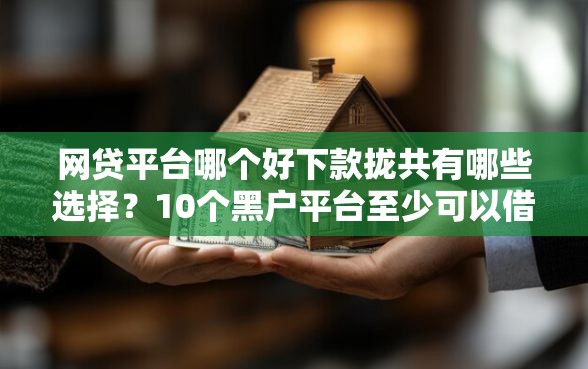 网贷平台哪个好下款拢共有哪些选择？10个黑户平台至少可以借三万那种详解