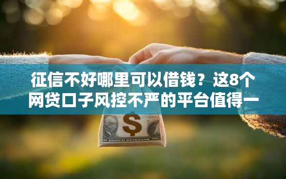 征信不好哪里可以借钱？这8个网贷口子风控不严的平台值得一试