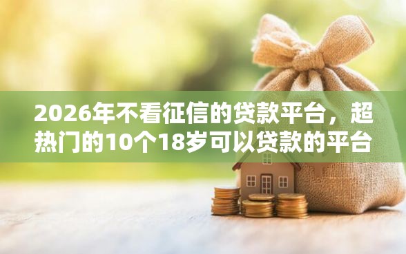 2026年不看征信的贷款平台，超热门的10个18岁可以贷款的平台推荐