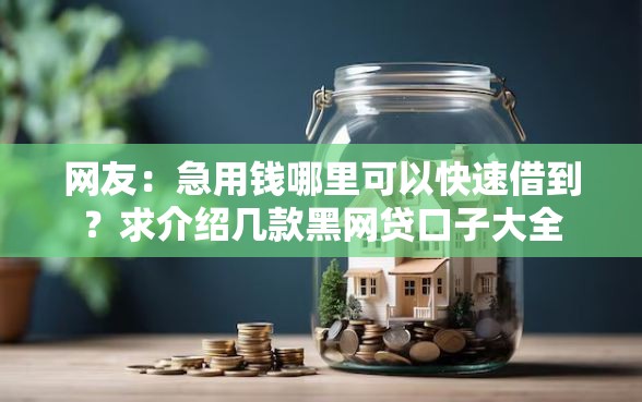 网友：急用钱哪里可以快速借到？求介绍几款黑网贷口子大全
