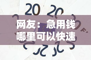 网友：急用钱哪里可以快速借到？求介绍几款贷款容易过的平台