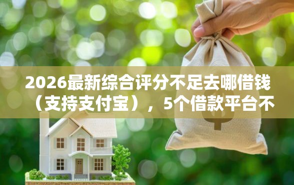 2026最新综合评分不足去哪借钱（支持支付宝），5个借款平台不看征信负债无私分享