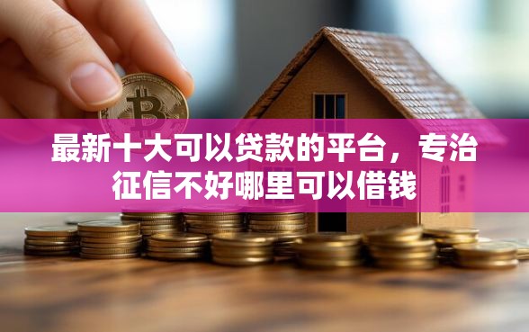 最新十大可以贷款的平台，专治征信不好哪里可以借钱