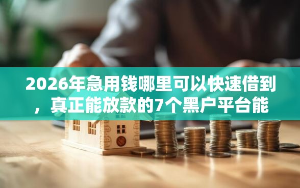2026年急用钱哪里可以快速借到，真正能放款的7个黑户平台能借到钱啊急用推荐