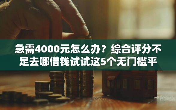 急需4000元怎么办？综合评分不足去哪借钱试试这5个无门槛平台