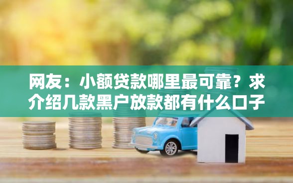 网友：小额贷款哪里最可靠？求介绍几款黑户放款都有什么口子