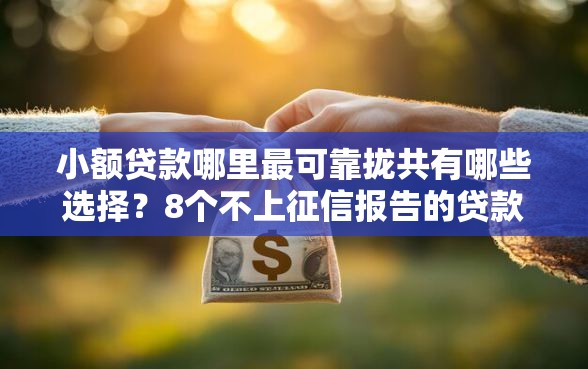 小额贷款哪里最可靠拢共有哪些选择？8个不上征信报告的贷款软件详解