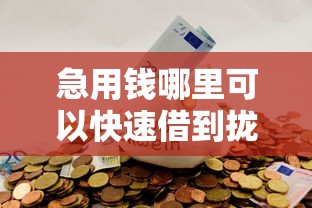 急用钱哪里可以快速借到拢共有哪些选择？10个秒下700芝麻分贷款平台详解