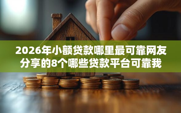 2026年小额贷款哪里最可靠网友分享的8个哪些贷款平台可靠我觉得不错！
