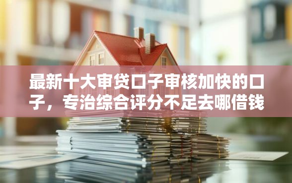 最新十大审贷口子审核加快的口子，专治综合评分不足去哪借钱