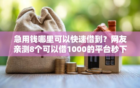 急用钱哪里可以快速借到？网友亲测8个可以借1000的平台秒下款盘点
