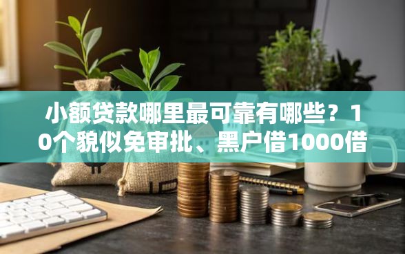 小额贷款哪里最可靠有哪些？10个貌似免审批、黑户借1000借款平台能放款合集