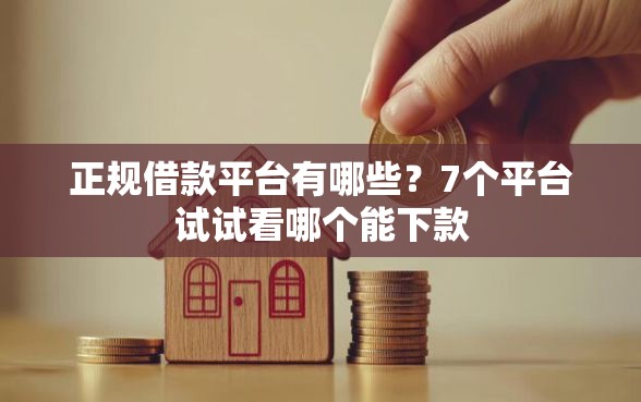 正规借款平台有哪些？7个平台试试看哪个能下款