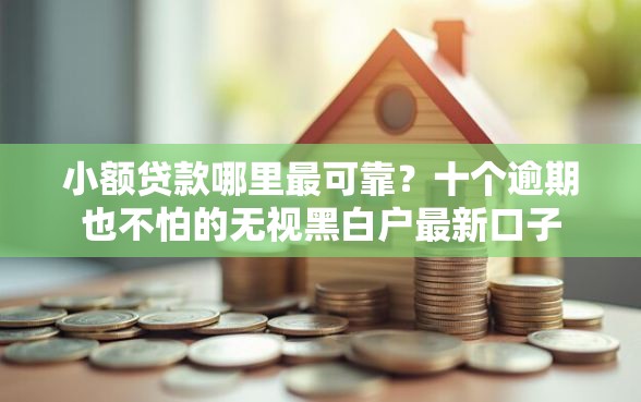 小额贷款哪里最可靠？十个逾期也不怕的无视黑白户最新口子