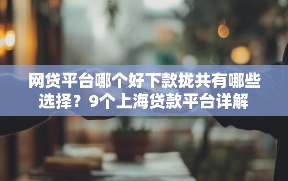 网贷平台哪个好下款拢共有哪些选择？9个上海贷款平台详解