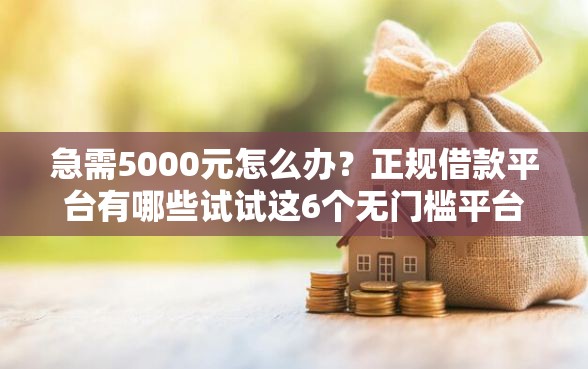 急需5000元怎么办？正规借款平台有哪些试试这6个无门槛平台