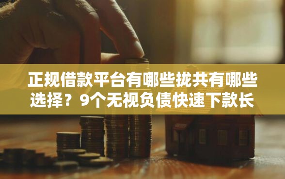 正规借款平台有哪些拢共有哪些选择？9个无视负债快速下款长期网贷的平台详解