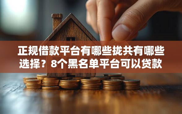 正规借款平台有哪些拢共有哪些选择？8个黑名单平台可以贷款详解