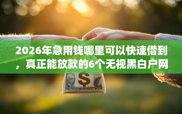 2026年急用钱哪里可以快速借到，真正能放款的6个无视黑白户网贷app推荐