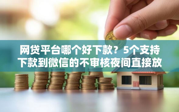 网贷平台哪个好下款？5个支持下款到微信的不审核夜间直接放款的网贷软件