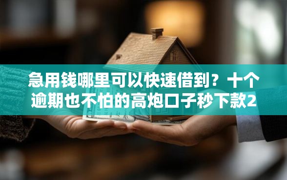 急用钱哪里可以快速借到？十个逾期也不怕的高炮口子秒下款2025