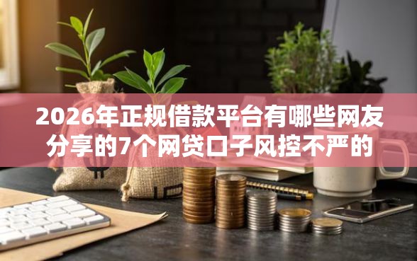 2026年正规借款平台有哪些网友分享的7个网贷口子风控不严的软件我觉得不错！