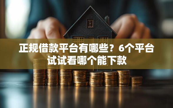 正规借款平台有哪些？6个平台试试看哪个能下款