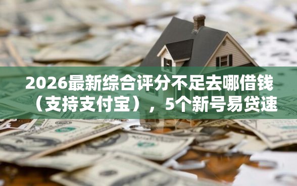 2026最新综合评分不足去哪借钱（支持支付宝），5个新号易贷速审秒下款口子无私分享