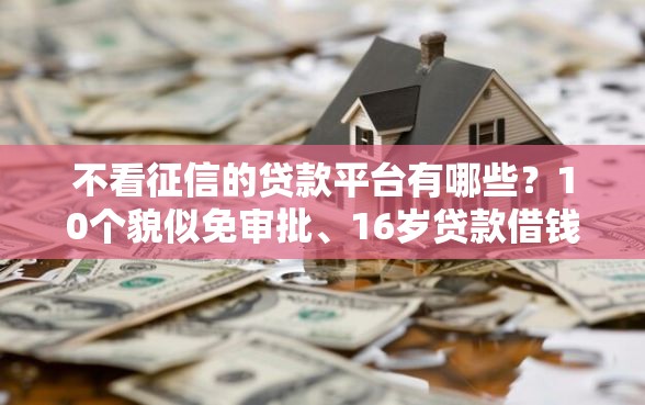 不看征信的贷款平台有哪些？10个貌似免审批、16岁贷款借钱的平台合集