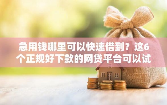 急用钱哪里可以快速借到？这6个正规好下款的网贷平台可以试试