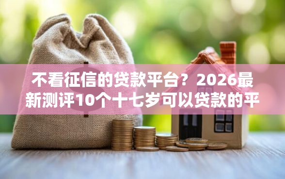 不看征信的贷款平台？2026最新测评10个十七岁可以贷款的平台