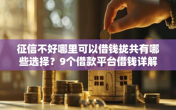 征信不好哪里可以借钱拢共有哪些选择？9个借款平台借钱详解