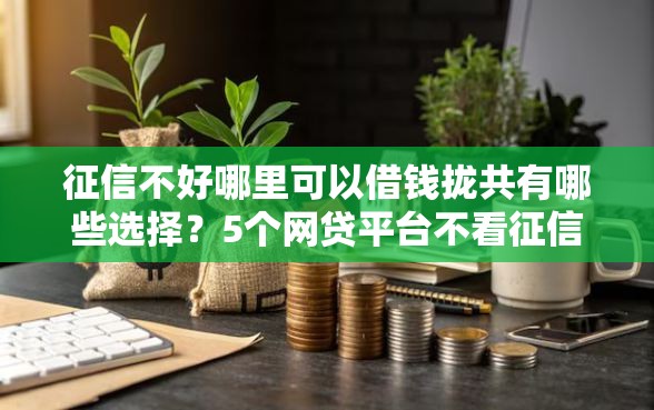征信不好哪里可以借钱拢共有哪些选择？5个网贷平台不看征信马上通过的详解