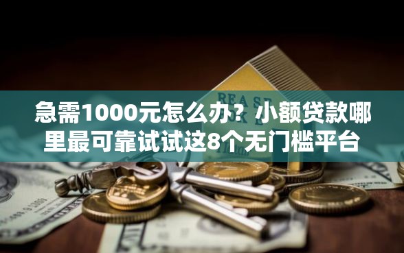 急需1000元怎么办？小额贷款哪里最可靠试试这8个无门槛平台