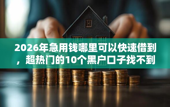 2026年急用钱哪里可以快速借到，超热门的10个黑户口子找不到下载推荐