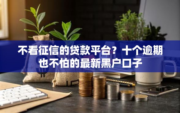 不看征信的贷款平台？十个逾期也不怕的最新黑户口子