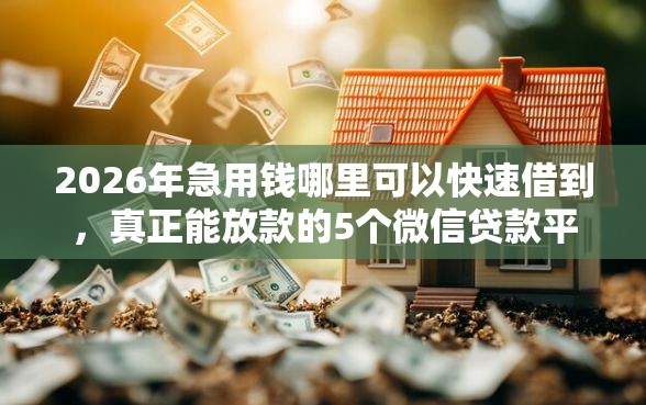 2026年急用钱哪里可以快速借到，真正能放款的5个微信贷款平台推荐