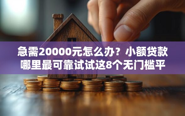 急需20000元怎么办？小额贷款哪里最可靠试试这8个无门槛平台