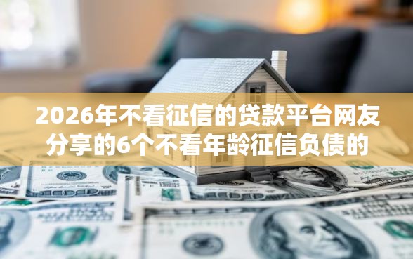2026年不看征信的贷款平台网友分享的6个不看年龄征信负债的口子我觉得不错！