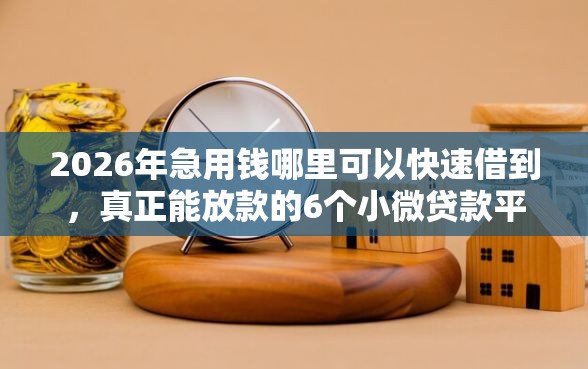 2026年急用钱哪里可以快速借到，真正能放款的6个小微贷款平台推荐
