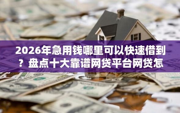 2026年急用钱哪里可以快速借到？盘点十大靠谱网贷平台网贷怎么样
