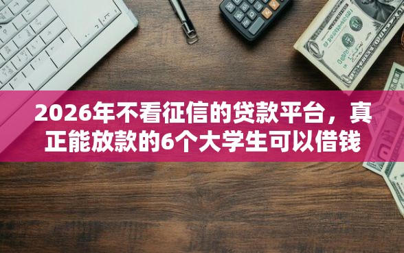 2026年不看征信的贷款平台，真正能放款的6个大学生可以借钱的平台推荐