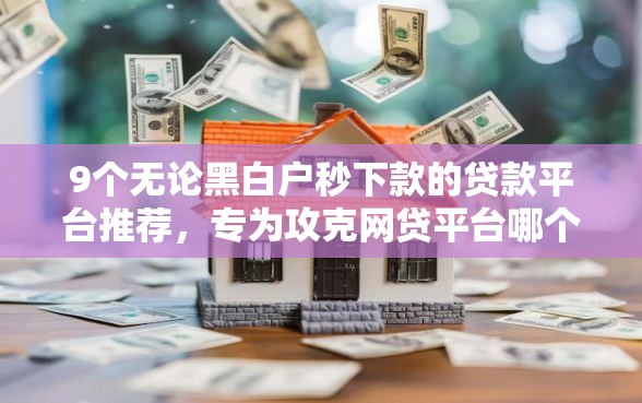 9个无论黑白户秒下款的贷款平台推荐，专为攻克网贷平台哪个好下款难题