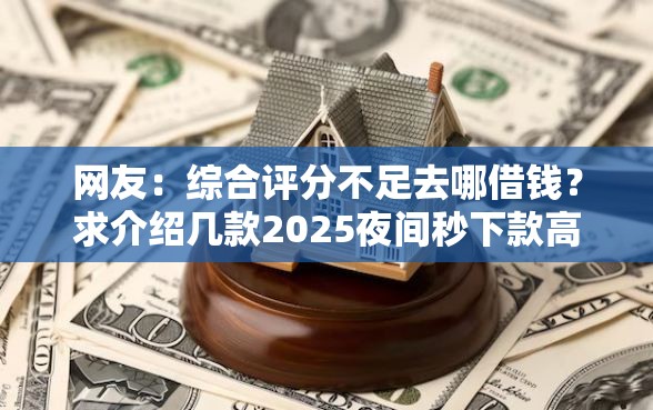 网友：综合评分不足去哪借钱？求介绍几款2025夜间秒下款高炮口子