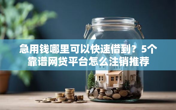 急用钱哪里可以快速借到？5个靠谱网贷平台怎么注销推荐