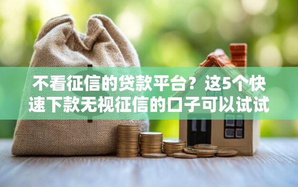 不看征信的贷款平台？这5个快速下款无视征信的口子可以试试