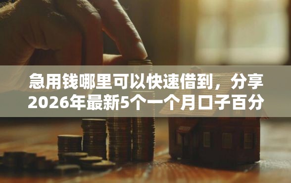 急用钱哪里可以快速借到，分享2026年最新5个一个月口子百分百下款的平台
