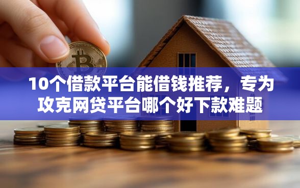 10个借款平台能借钱推荐，专为攻克网贷平台哪个好下款难题